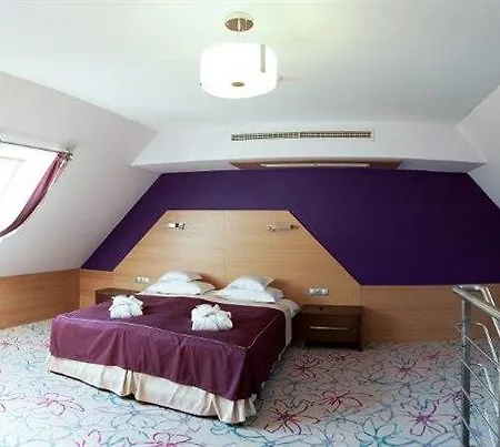 Czarny Gron 롯지 *